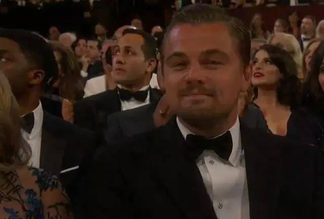 奥斯卡小李子获奖,奥斯卡奖得主小李子