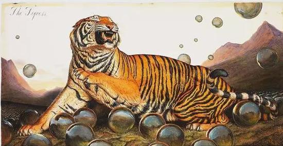 小李子画的作品,小李子画的画