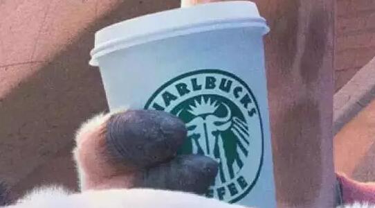 疯狂动物城里最时髦的商店,疯狂动物城图鉴品质