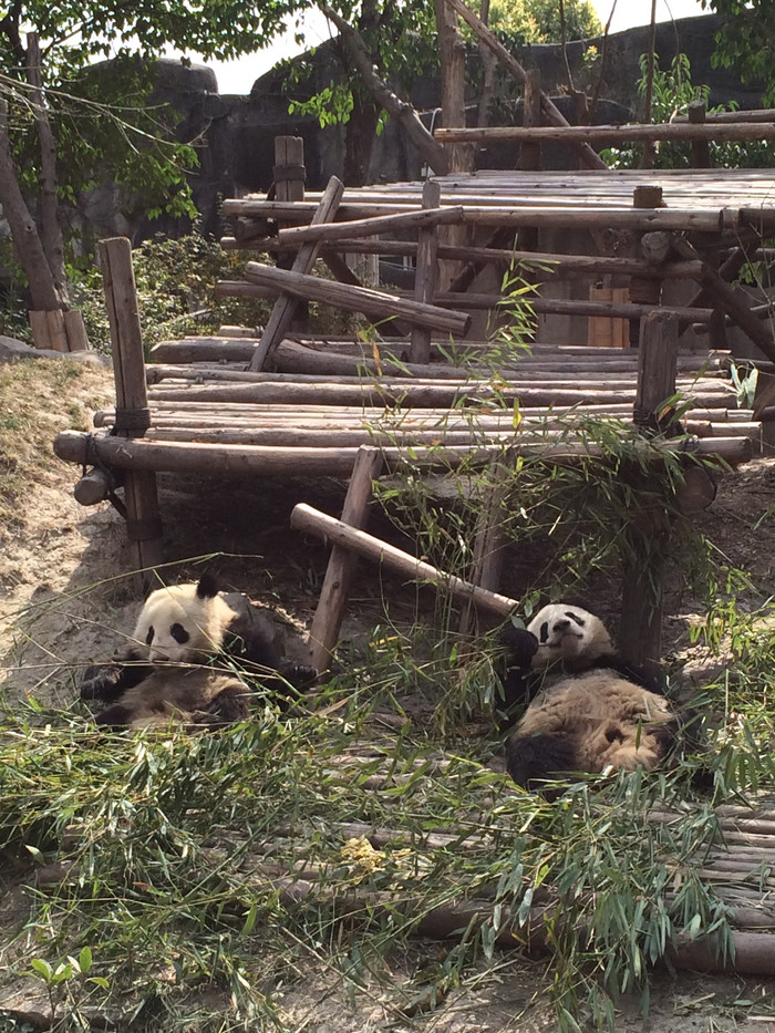 我们的故事缘定这里-四川