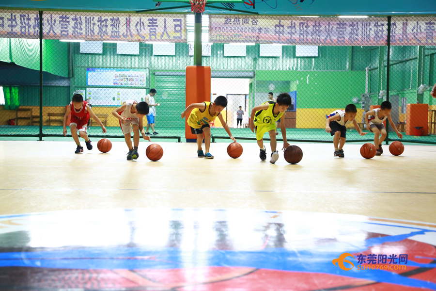 广东东莞篮球晨训,东莞篮球外教
