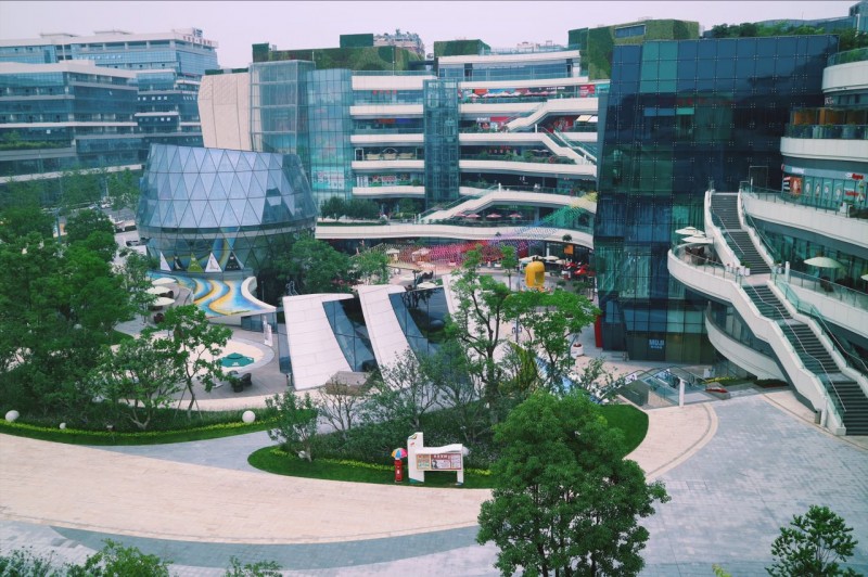 盘点十大网红萌宠,盘点全网6只网红萌宠