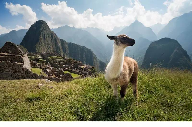 美签可以进入厄瓜多尔,没有美签怎么玩南美洲