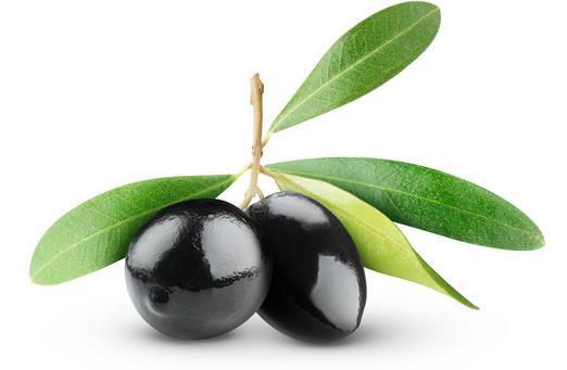 橄榄油护发好还是椰油护发好,橄榄油护发有效果吗