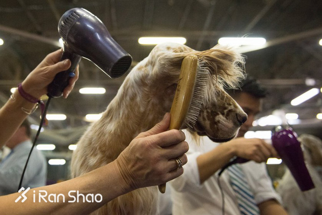 时代周刊2017十佳影片,时代周刊年度最佳