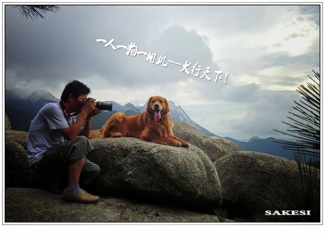 金毛萨克斯,金毛挑战全部视频