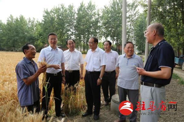 农行驻村第一书记,驻村干部的辛苦和快乐