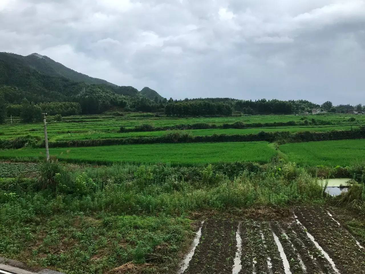 碧山工销社｜崔灿灿｜策展手记