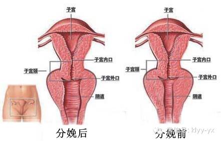 产后妈妈最想照顾好宝宝,生完宝宝妈妈最关心的是什么