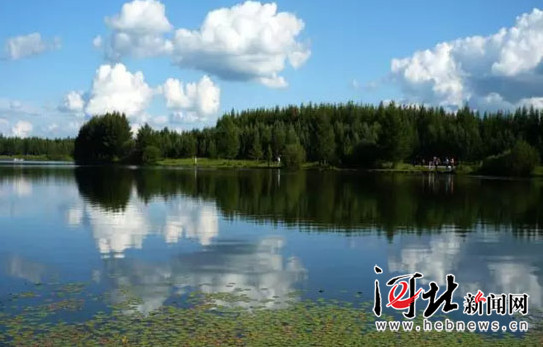 在燕赵大地续写绿色传奇