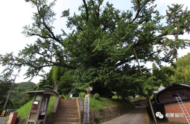 熊本美食大攻略,熊本城美食