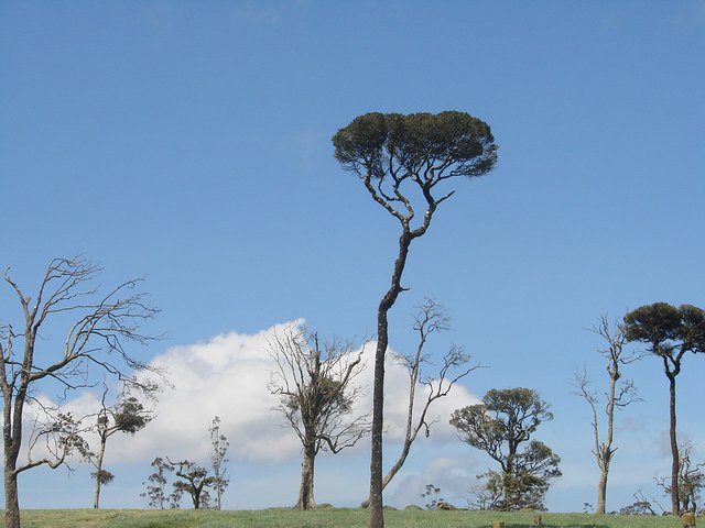 在斯里兰卡旅游必做的10件事,在斯里兰卡的难忘旅行经历