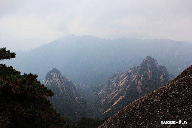 金毛萨克斯,金毛挑战全部视频