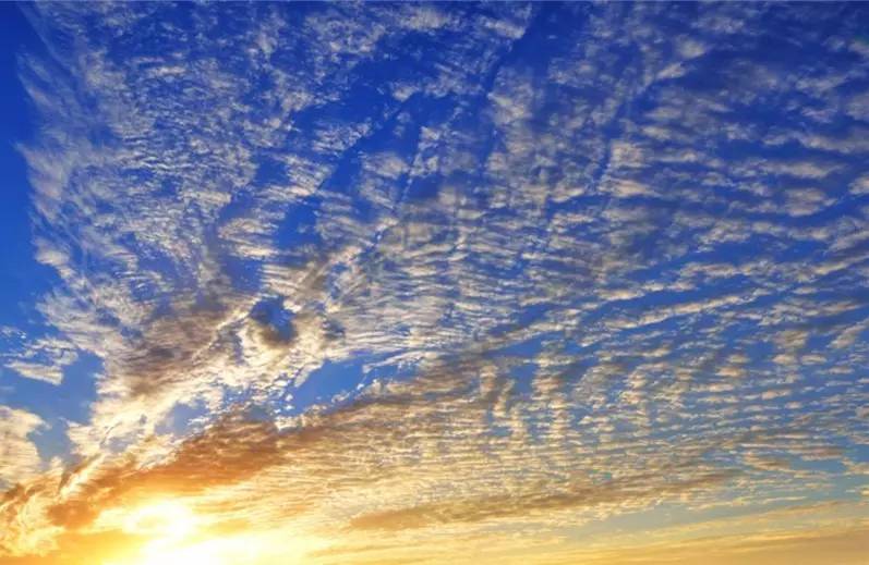 东胜新闻播报,东胜实时热点