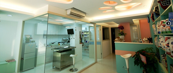 猫咪经济学家,猫咪经济学