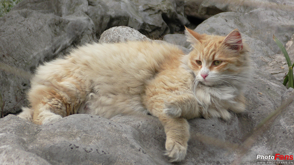 松下hc-vx980m使用说明,松下vx9804k测评