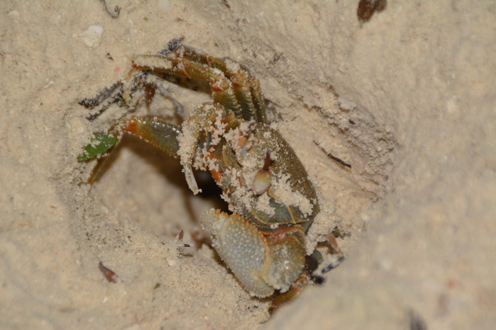 马尔代夫哈库拉岛好不好,马尔代夫哈库拉岛6日自助游