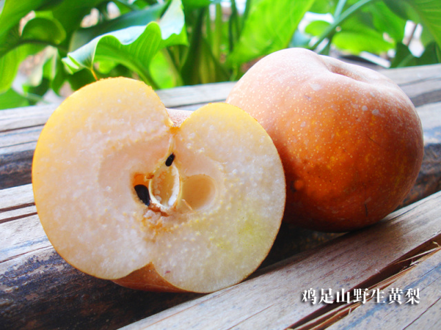 舌尖上的节气惊蛰养生,二十四节气惊蛰美食