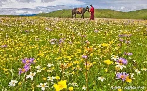 甘南年宝玉则景区,甘肃宝玉则旅游攻略