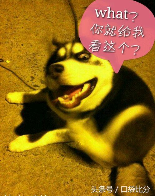 足球运动员搞笑视频,比较搞笑的足球队名字