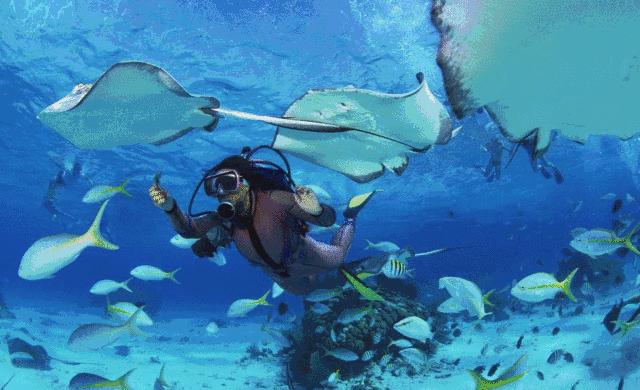 海有夜游别怪我没提醒你，购买夜票你能看到不一样的精彩！