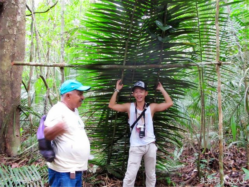 从亚马逊雨林到安纳托,最靠近亚马逊丛林的城市