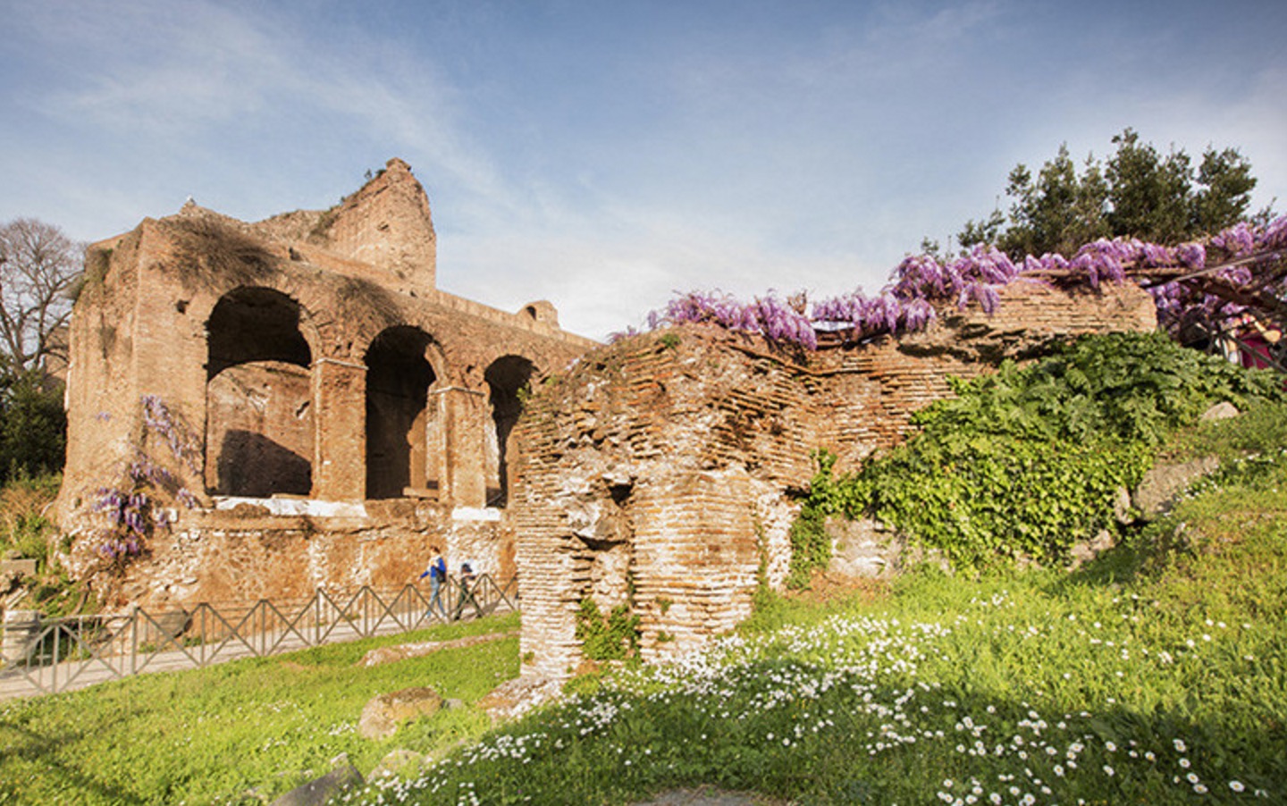 有点想给自己放长假的想法,给自己放个假去看看外面的世界