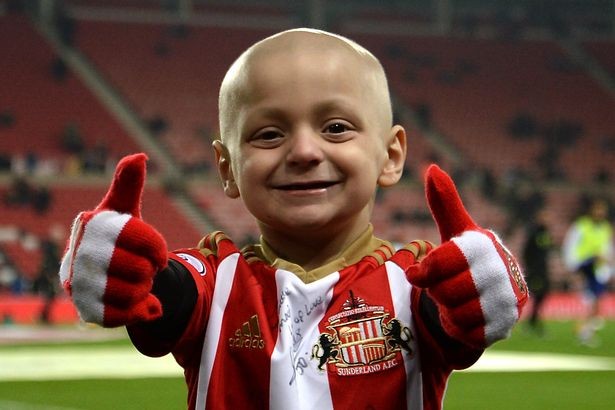 小布拉德利视频,小布拉德利