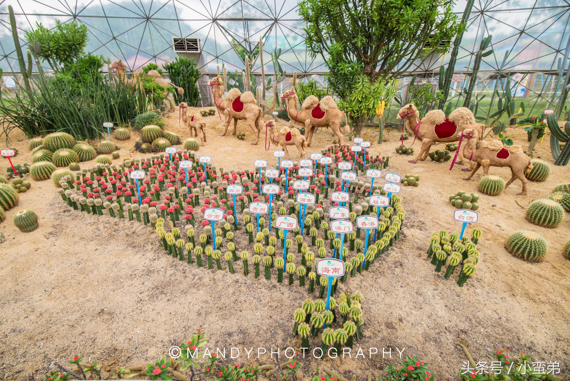 广州周边不为人知的宝藏景点,广州水上乐园旅游景点推荐