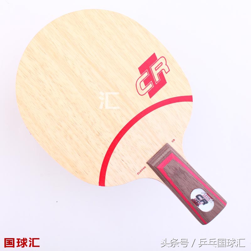 乒乓器材：大家说的大巴、紫尼、CR到底是什么东西？