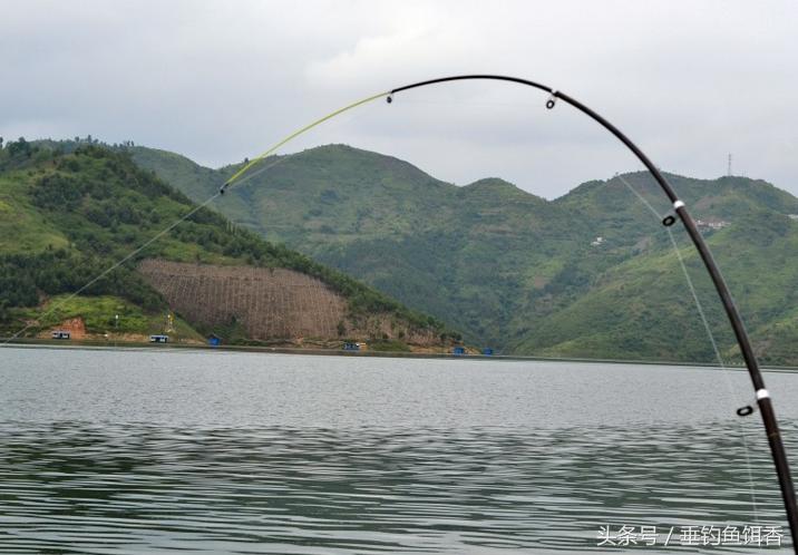 海竿浮钓线组组装方法大全,海竿钓大鱼线组单钩制作