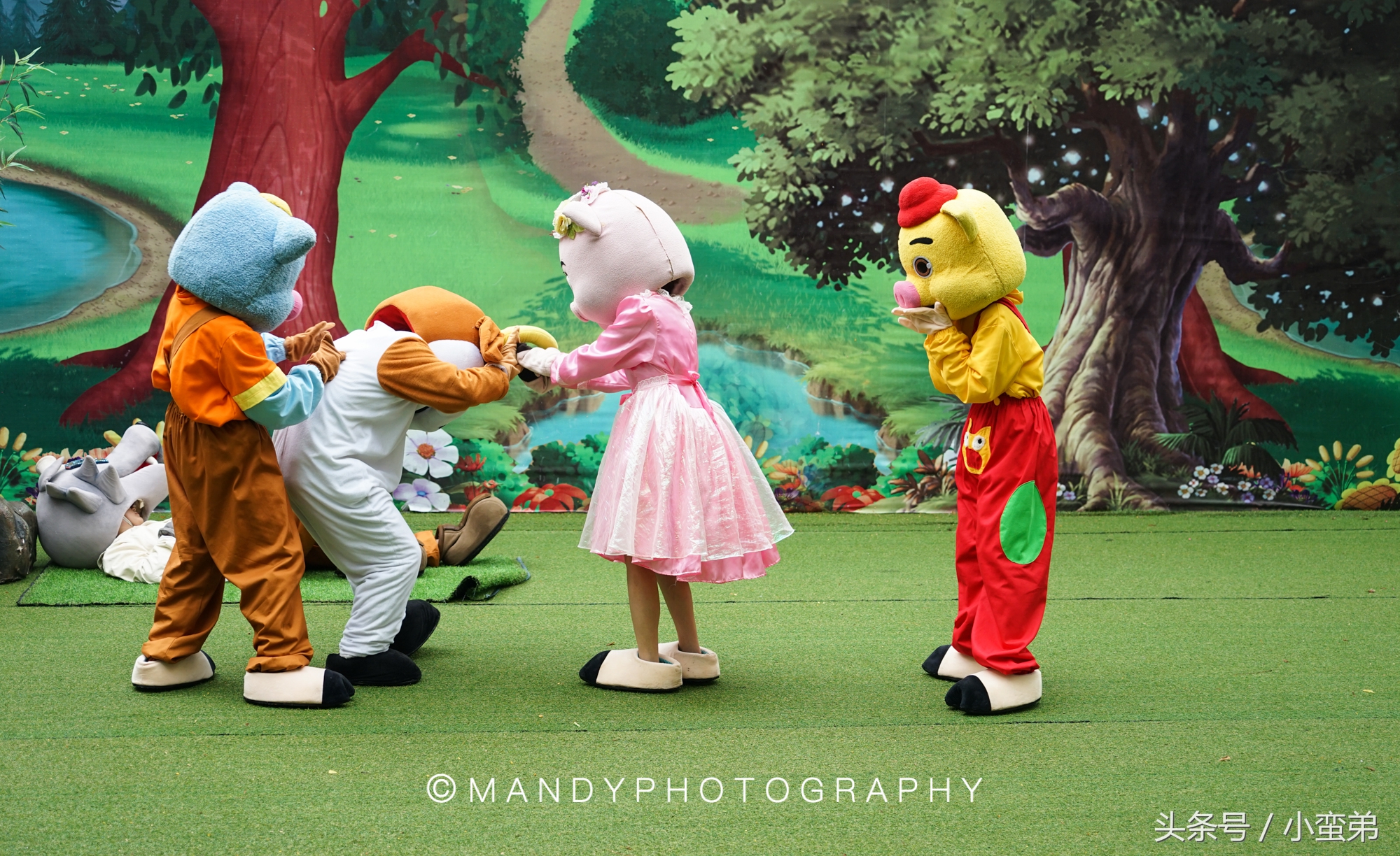 广州周边不为人知的宝藏景点,广州水上乐园旅游景点推荐