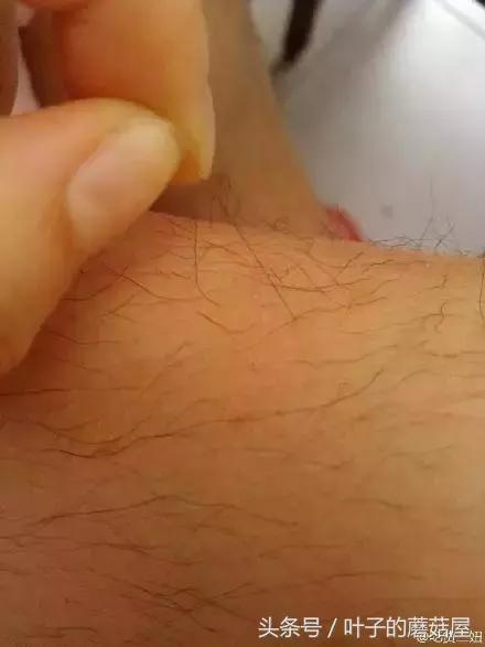 你介意女生腿毛长吗,你是女生原视频