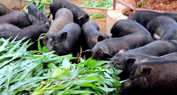 不想花钱又想省钱怎么办,不想花钱就减肥