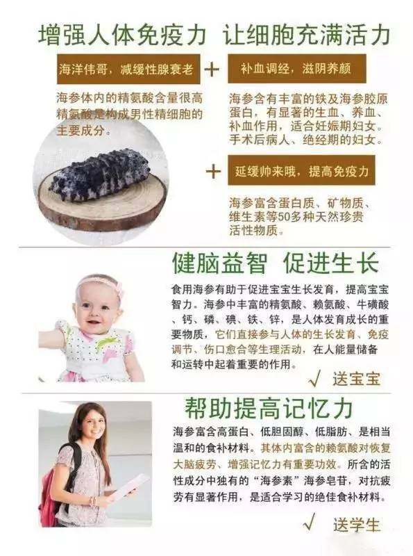 海参残参怎么吃 (澳洲白玉参和海参有什么功效)