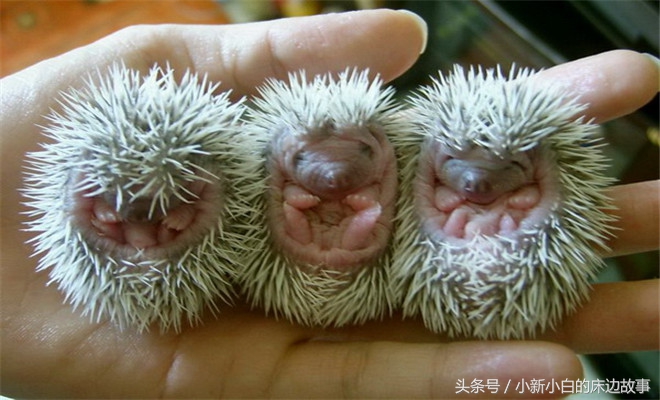 77岁瘫痪老人被虐待,80岁老人惨遭儿媳虐待