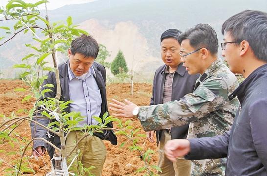 云南脱贫攻坚战传捷报,云南实施脱贫攻坚以来的变化