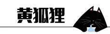 猫咪睡姿大作战,猫咪大字型睡姿图片
