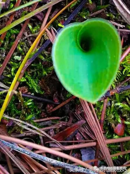 拍好照片的三个标准你值得一看,拍一张好照片容易吗