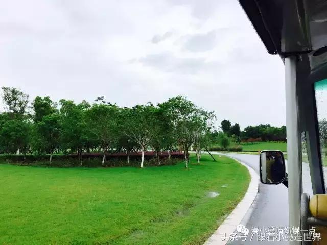 高淳去南京玩,高淳看荷花