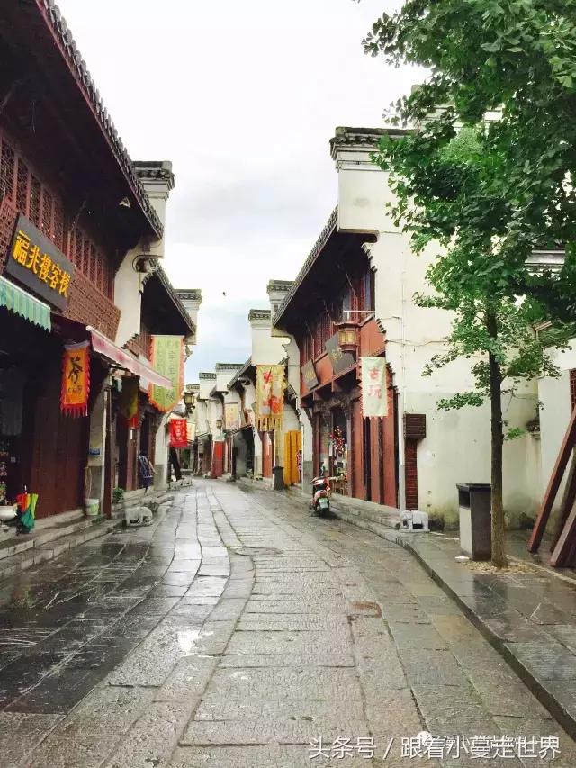 高淳去南京玩,高淳看荷花