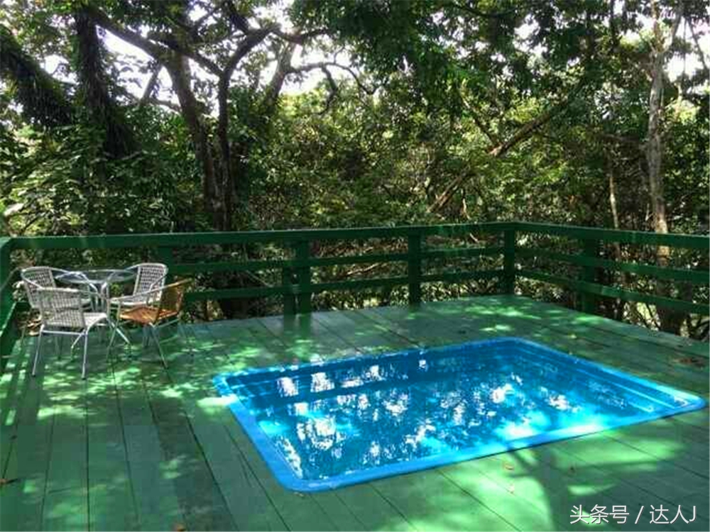 从亚马逊雨林到安纳托,最靠近亚马逊丛林的城市