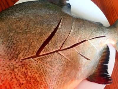 红烧鲳鱼家常做法大全,红烧鲳鱼的家常做法儿童