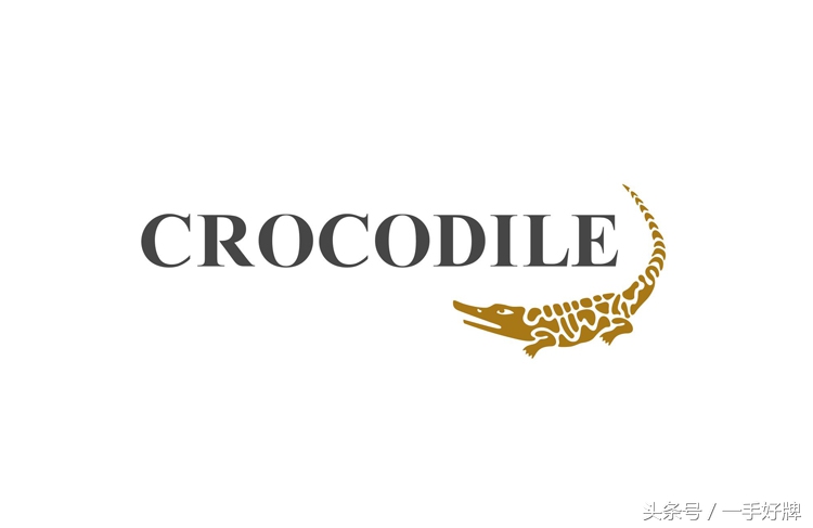 lacostecartelo,lacoste和cartelo哪个更好