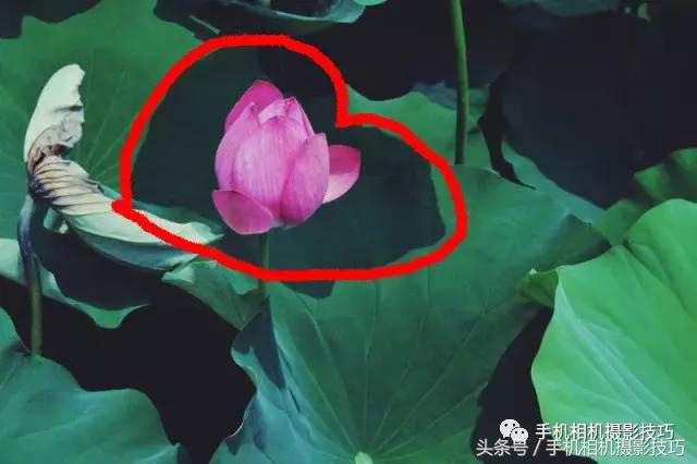 拍好照片的三个标准你值得一看,拍一张好照片容易吗