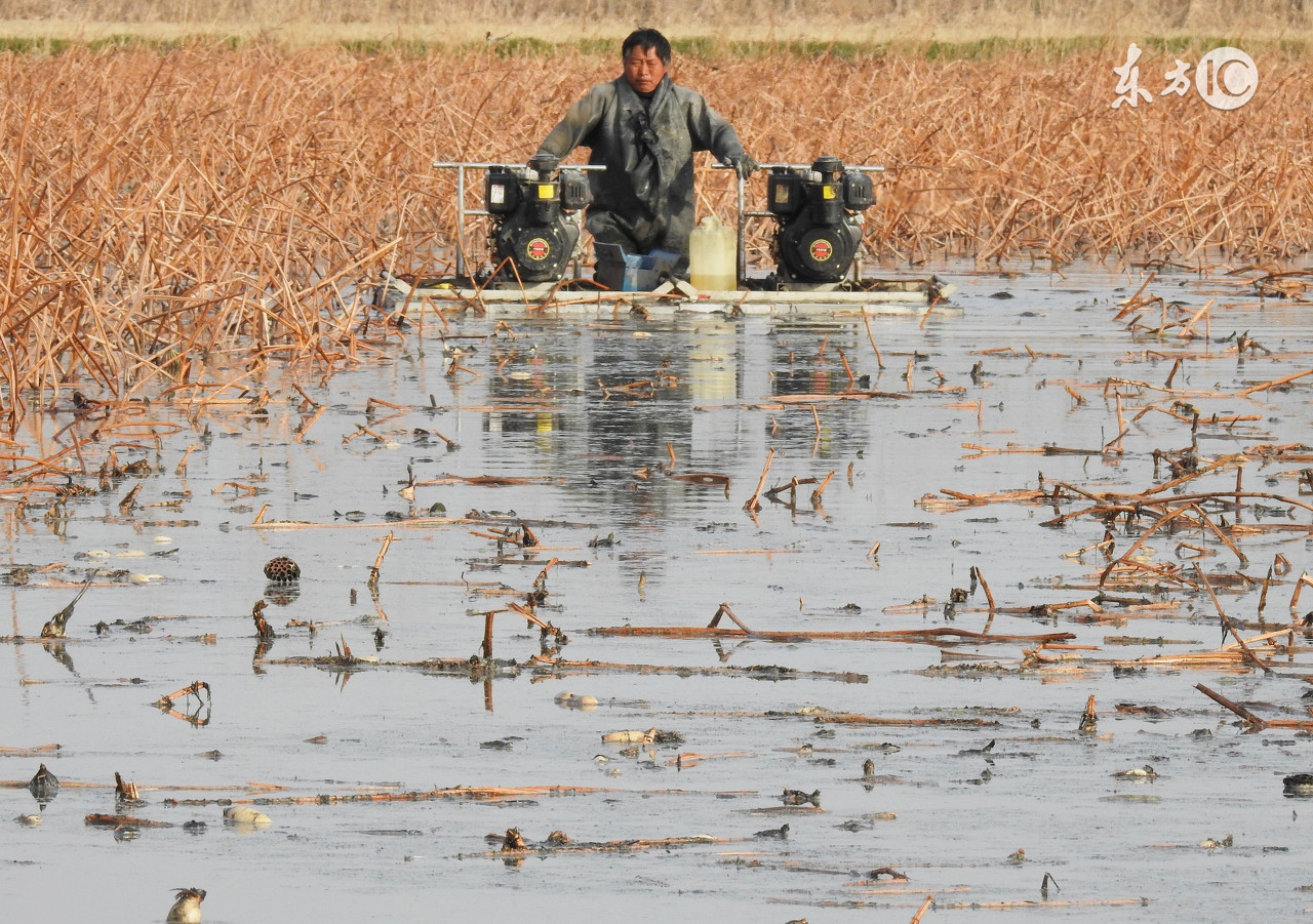 最新热门致富项目大全,致富经创业项目哪些比较真实