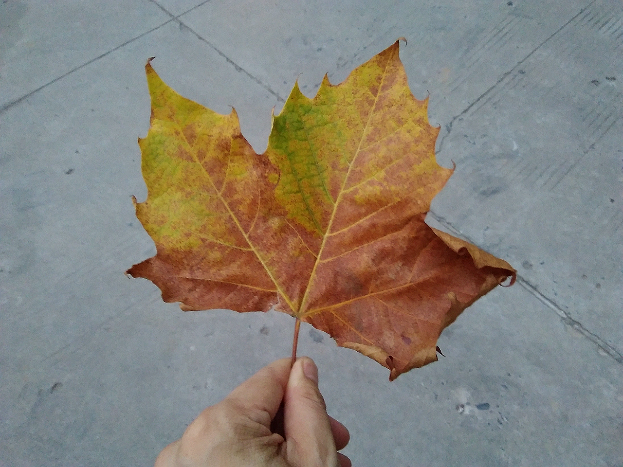 安卓平板体验,荣耀畅玩平板2太卡了怎么处理