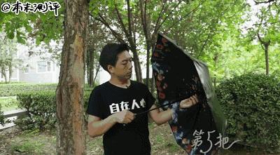本末测评:晒成狗!教你如何机智挑选防晒伞