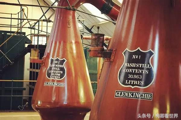 品味生命之美歌曲,生命之水感悟