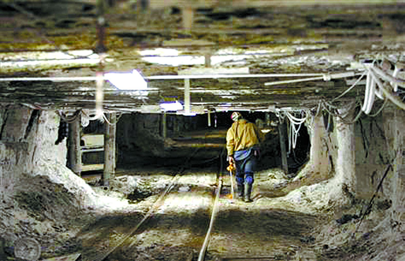 同样是打工，你知道在美国一天工资是多少嘛，看完，我都想买票去了